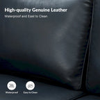 Canapé de 205,7 cm en cuir véritable de style transitionnel avec accoudoirs roulés, bordure cloutée et coussins amovibles
